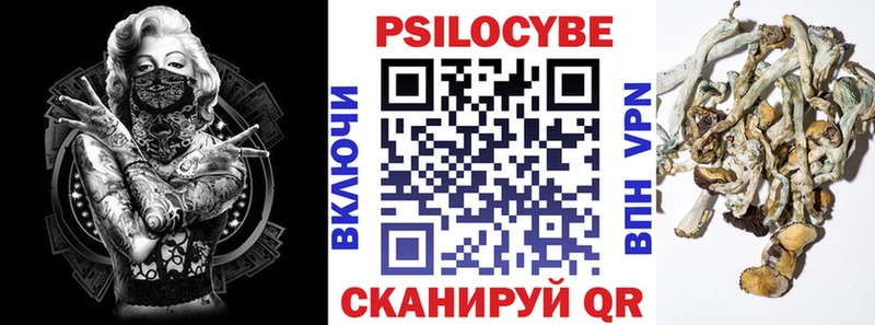 Псилоцибиновые грибы Magic Shrooms  где можно купить наркотик  мега   Тында 