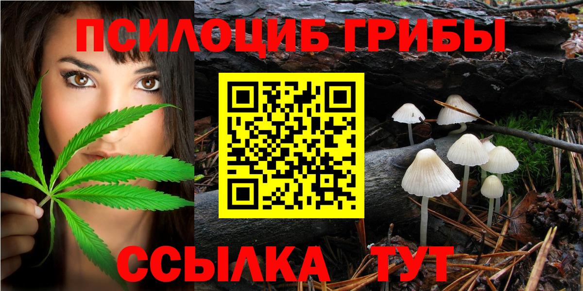 наркотики  Галлюциногенные грибы Psilocybe  Вход с VPN  Тында  Псилоцибиновые грибы мухоморы 